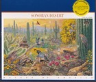 Scott #3293 Sonoran Desert (Nature Series) Sheet of 10 Stamps - Sealed Blue