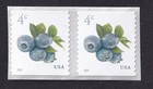 Scott #5653 Blueberries Coil Pair of Stamps - MNH
