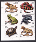 Scott #3818a (3514-3518) Reptiles & Amphibians Plate Block of 6 Stamps - MNH LL