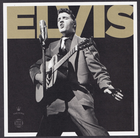 Scott #5009 Elvis Presley Sheet of 16 Forever Stamps - MNH