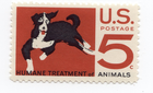 Scott #1307 Humane Treatment of Animals (Mongrel) Single Stamp - MNH
