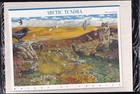 Scott #3802 Arctic Tundra (Nature Series) Sheet of 10 Stamps - Sealed White