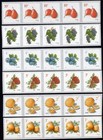 Scott #5201-5037-5038-5039-5256-5653 (6) Fruit Plate # Coil of 5 Stamps MNH PNC5