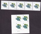 Scott #5652-5653 Blueberries Plate Block & Plate # Coil (PNC5) of 5 Stamps - MNH