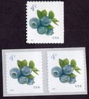 Scott #5652-5653 Blueberries Single Stamp & Coil Pair - MNH