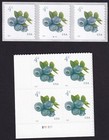 Scott #5652-5653 Blueberries Plate Block & Plate # Coil (PNC3) of 3 Stamps - MNH