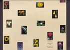 Scott #2696a (2642-96) WildFlowers Sheet Of 50 Stamps in Commemorative Folder