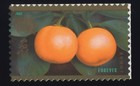 Scott #4492 Lunar (Chinese) Rabbit New Year Single Stamp - MNH