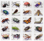 Scott #3351 Insects and Spiders Set of 20 Single Stamps - MNH