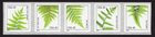 Scott #4852a (4748) Ferns Coil of 5 (PNC5) Stamps - MNH