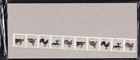Scott #4617a (4613-17) Weather Vanes (PNC25) Plate # Coil of 25 Stamps - Sealed