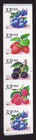 Scott #3407a (3404) Berries Fruit Plate # Coil (PNC5) of 5 Stamps - MNH #4