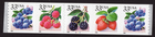 Scott #3305a (3302) Berries Fruit Plate # Coil (PNC5) of 5 Stamps - MNH P#B2222