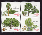 Scott #1767a (1764-67) 1978 Arboretum 15¢ Block of 4 Stamps - MNH Sequoia 1st