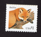Scott #3036a Red Fox Single Stamp - MNH #4