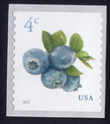 Scott #5653 Blueberries Single Coil Stamp - MNH