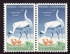 Scott #1098 Whooping Cranes Wildlife Pair of Stamps - MNH