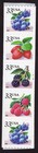Scott #3407a (3404) Berries Fruit Plate # Coil (PNC5) of 5 Stamps - MNH #1