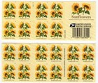 USPS Sunflower Booklet of 20 Forever Stamps (6067)