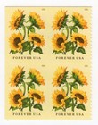 Scott #6067 Sunflower Booklet Pane of 4 Forever Stamps - MNH