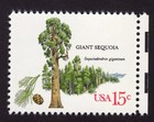 Scott #1764 1978 Arboretum 15¢ Giant Sequoia Single Stamp - MNH