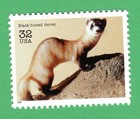 Scott #3105a Black-footed ferret Single Stamp - MNH