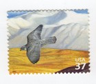 Scott #3802a Arctic Tundra (Nature Series) Gyrfalcon Single Stamp - MNH