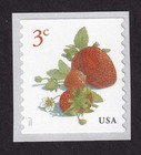Scott #5201 Strawberries Coil Single Stamp - MNH