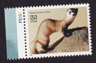 Scott #3105a Endangered Species Black-footed Ferret Single Stamp - MNH