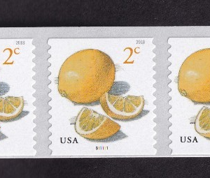 Scott #5256 Meyers Lemons Plate # Coil (PNC9) of 9 Stamps - MNH