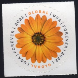 Scott #5680 Global Forever African Daisy Single Forever Stamp - MNH UV Verified