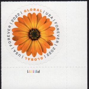 Scott #5680 Global Forever African Daisy Plate # Single Stamp - MNH UV Verified