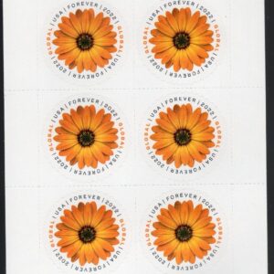 Scott #5680 Global Forever African Daisy Sheet of 10 Stamps - MNH UV Verified