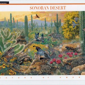 Scott #3293 Sonoran Desert (Nature Series) Sheet of 10 Stamps - Sealed White