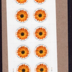 Scott #5680 Global Forever African Daisy Sheet of 10 Stamps - Sealed UV Verified