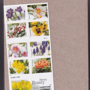 Scott #5745a (5736-45) Snowy Beauty Booklet of 20 Forever Stamps - Sealed