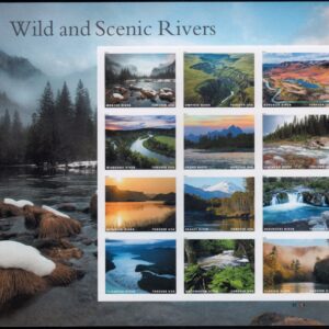 Scott #5381 Wild & Scenic Rivers Sheet of 12 Forever Stamps - MNH