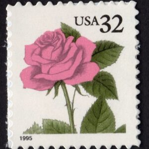 Scott #2492 32¢ Pink Rose Single Stamp - MNH