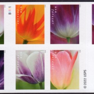 Scott #5786a Tulips Booklet of 20 Forever Stamps - MNH Genuine