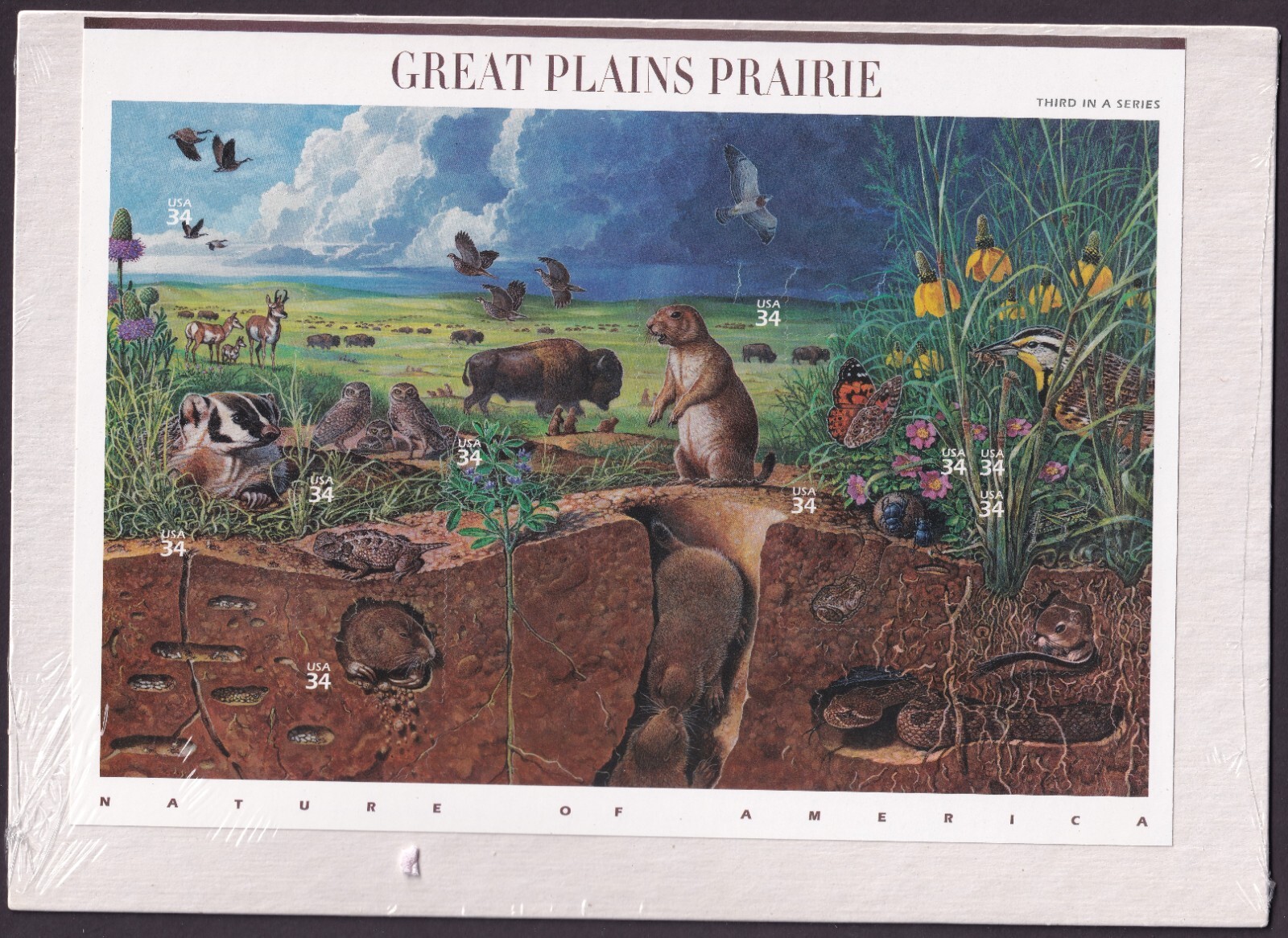 Scott #3506 Great Plains Prairie (Nature) Sheet of 10 34¢ Stamps - Sealed White