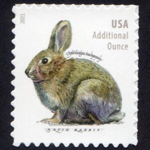 Scott #5544 Brush Rabbit Additional Ounce Single Stamp - MNH