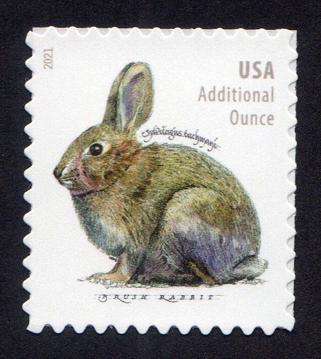 Scott #5544 Brush Rabbit Additional Ounce Single Stamp - MNH
