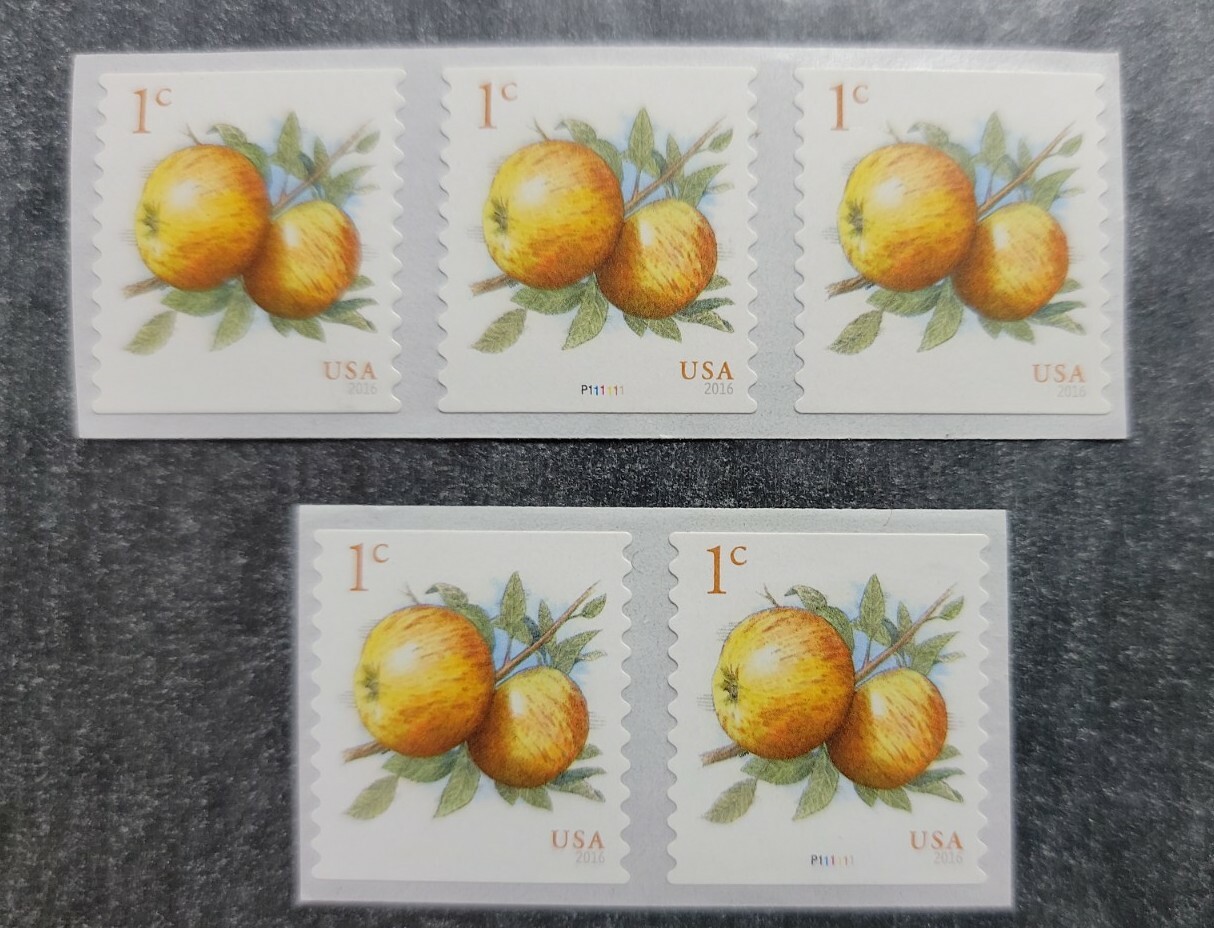 Scott #5037 Albemarle Apples 3 & 2 stamp coils - MNH