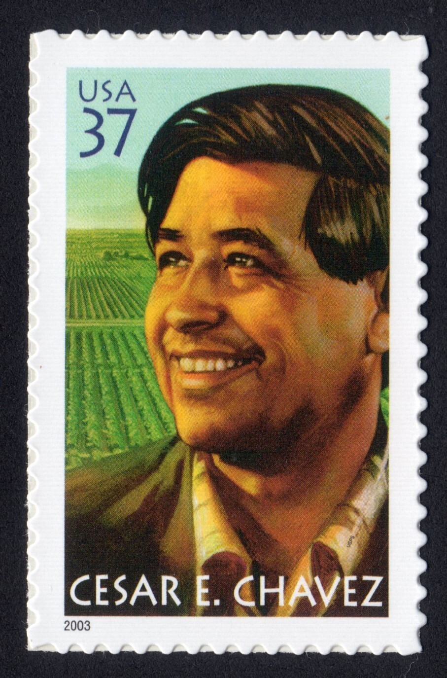 Scott #3781 Cesar Chavez United Farm Workers Single Stamp - MNH