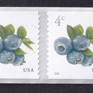 Scott #5653 Blueberries Coil Pair of Stamps - MNH