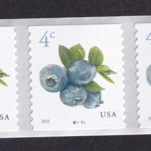 Scott #5653 Blueberries Plate # Coil (PNC5) of 5 Stamps - MNH