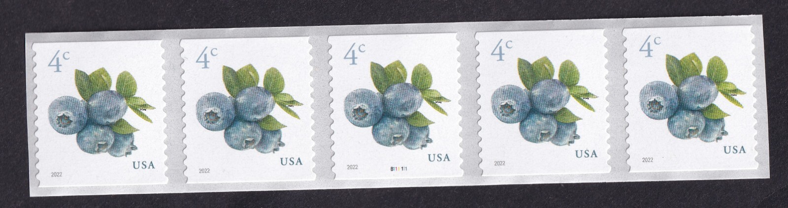 Scott #5653 Blueberries Plate # Coil (PNC5) of 5 Stamps - MNH