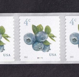 Scott #5653 Blueberries Plate # Coil (PNC9) of 9 Stamps - MNH