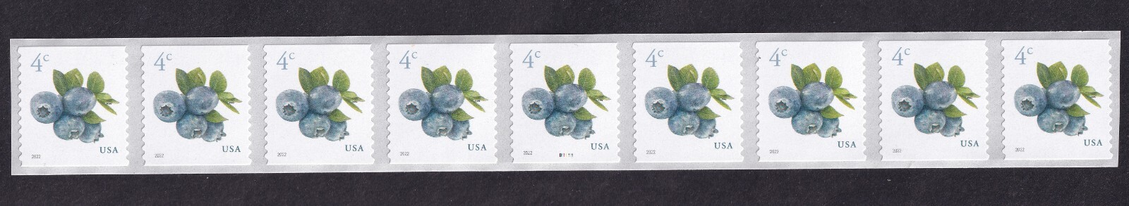 Scott #5653 Blueberries Plate # Coil (PNC9) of 9 Stamps - MNH