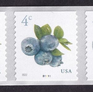 Scott #5653 Blueberries Plate # Coil (PNC7) of 7 Stamps - MNH